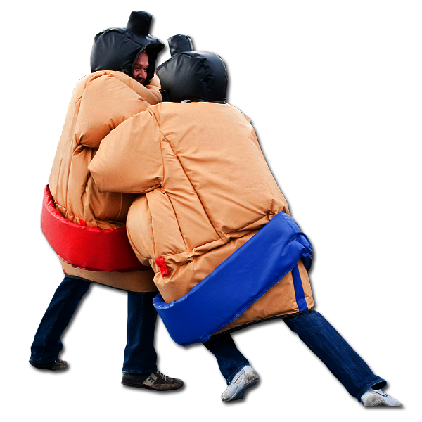 Sumo-Wrestling (447)