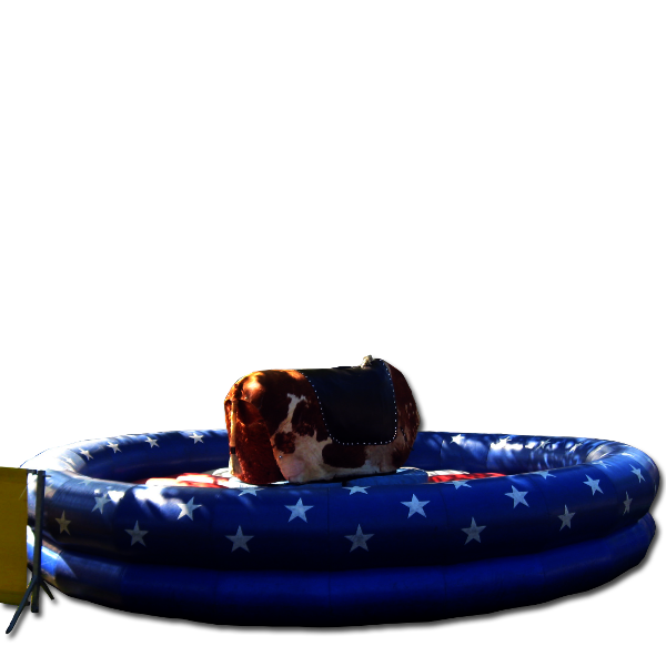 Bull Riding (500-505)